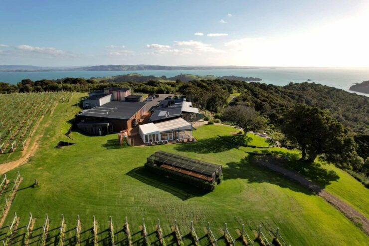 Auckland: Waiheke Island Sea Kayak Tour - Experience Highlights