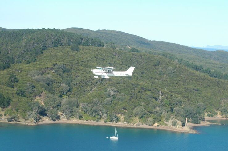 Auckland: Waiheke Island Wine and Food Tasting With Flights - Activity Details