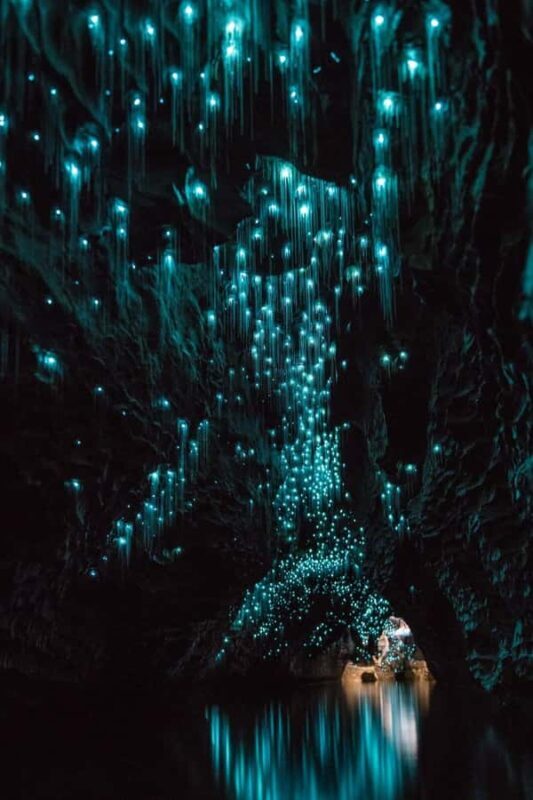 Auckland: Waitomo Caves & Rotorua - Te Puia Small-Group Tour - An In-Depth Look at the Experience