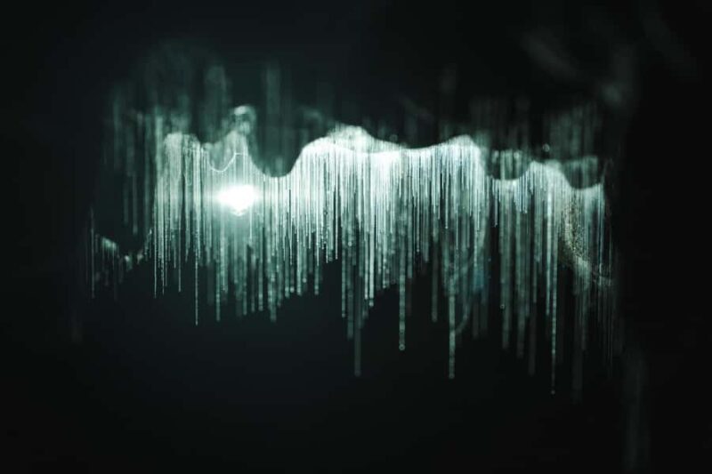 Auckland: Waitomo Caves & Te Puia Rotorua w Picnic Lunch - Transportation & Timing