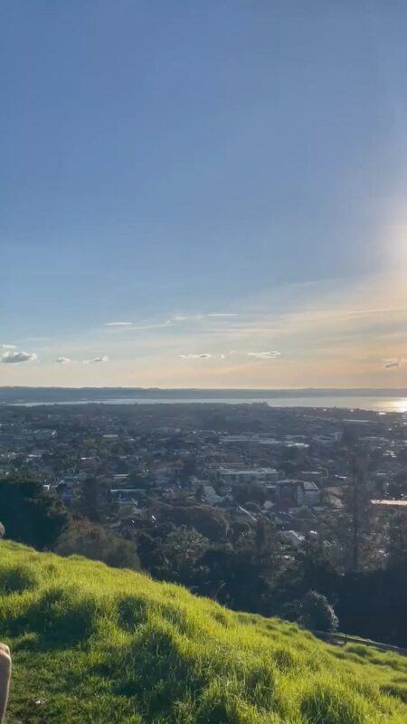 Auckland War Memorial Museum Half-Day Small Group Tour - Key points before you book