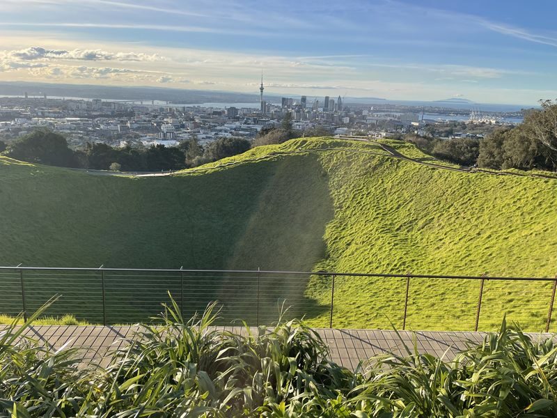 Auckland War Memorial Museum Half-Day Small Group Tour - The driver-guide and small-group feel