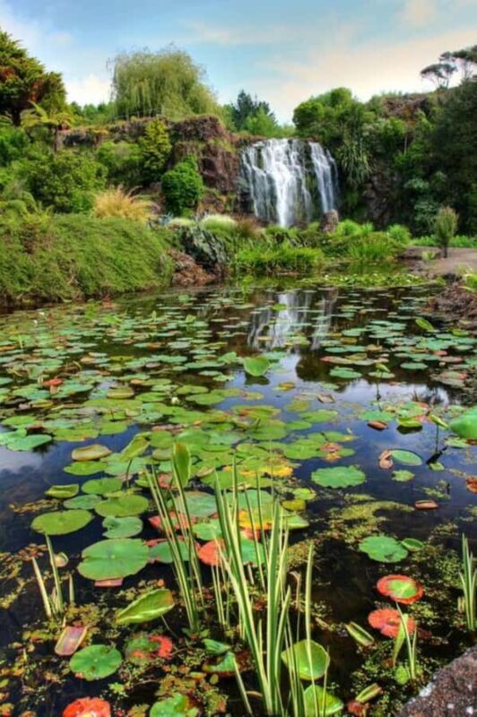 Auckland Waterfall Tour - Good To Know