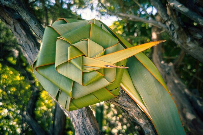 Auckland West Coast Half-Day Private Tour - Who Would Love This Tour?