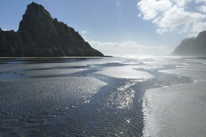 Auckland West Coast Rainforest and Beach Tour - Exploring Auckland’s West Coast Rainforest and Beaches: An Honest Review