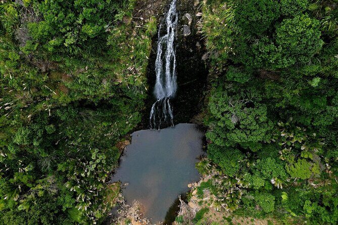 Auckland West Coast Rainforest and Beach Tour - Good To Know