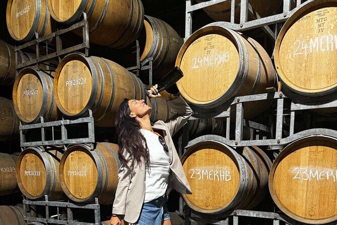 Auckland West Vineyard Tour with lunch and tastings incl - Auckland West Vineyard Tour with Lunch and Tastings Incl — A Genuine Wine & Scenic Experience