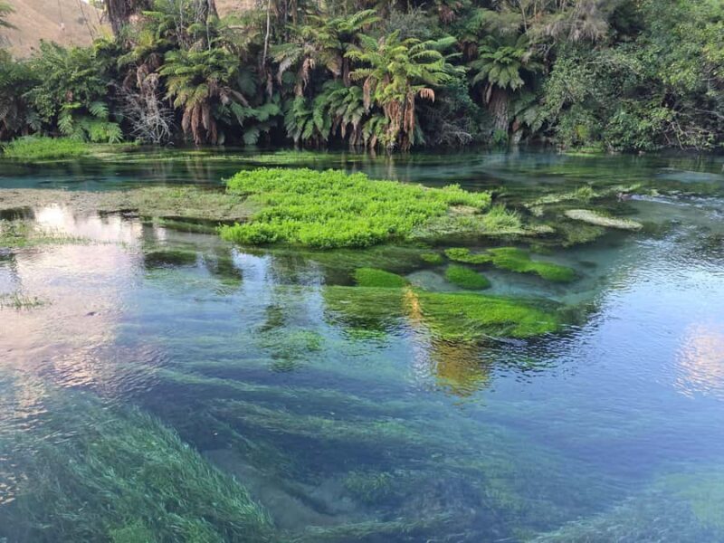 Auckland: Whakarewarewa Village & Wai-o-Tapu & Huka Falls - Relaxation at Wairakei Terraces & Blue Spring