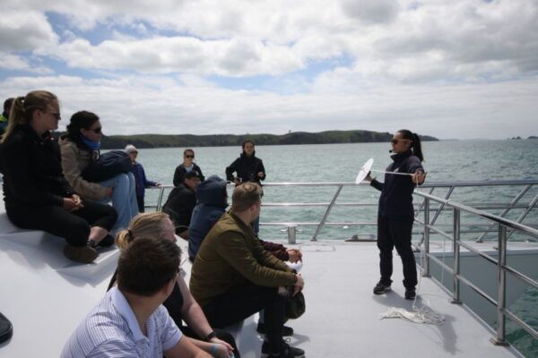 Auckland: Whale and Dolphin Watching Half-Day Eco Cruise - The Sum Up