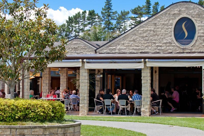 Auckland Wine Country Tour with Lunch - At a glance: vineyards, lunch and west coast