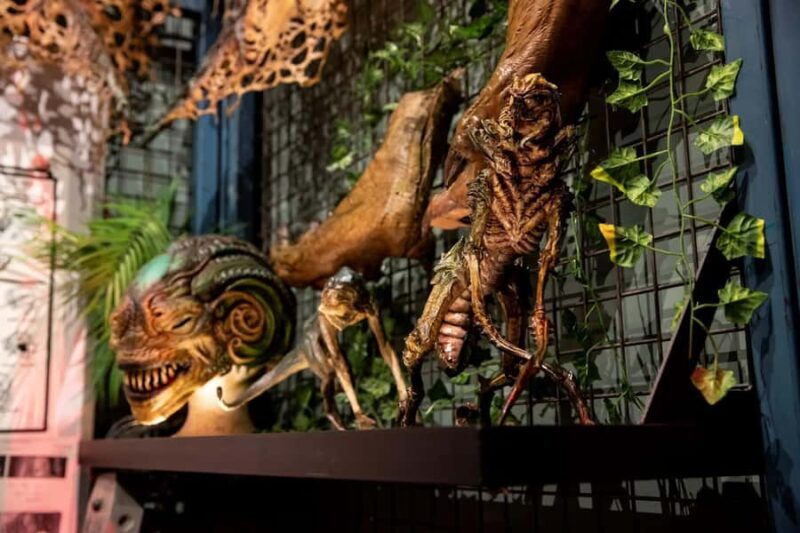 Auckland: Wt Workshop Unleashed Guided Tour Ticket - Who Will Get the Most Out of This Tour?