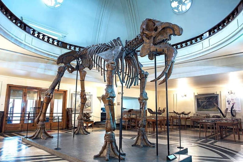 Audio Guide for Museum Paleontology and Historical Geology - Good To Know