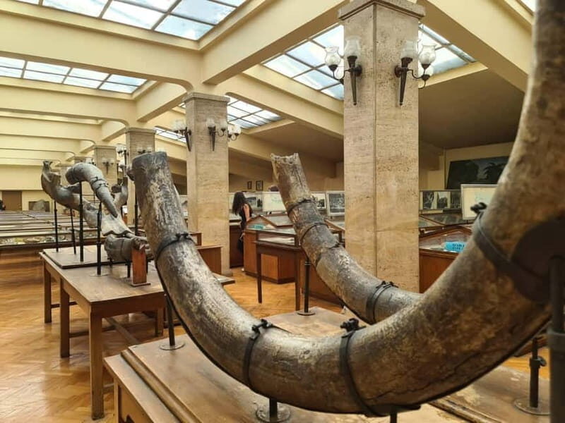 Audio Guide for Museum Paleontology and Historical Geology - Why This Tour Offers Good Value