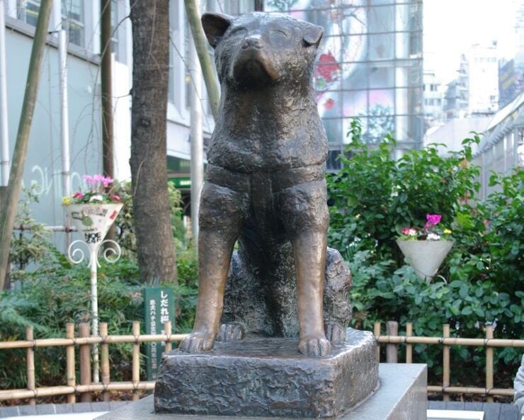 Audio Guide Tour: Deeper Experience of Shibuya Sightseeing - Activity Details and Pricing