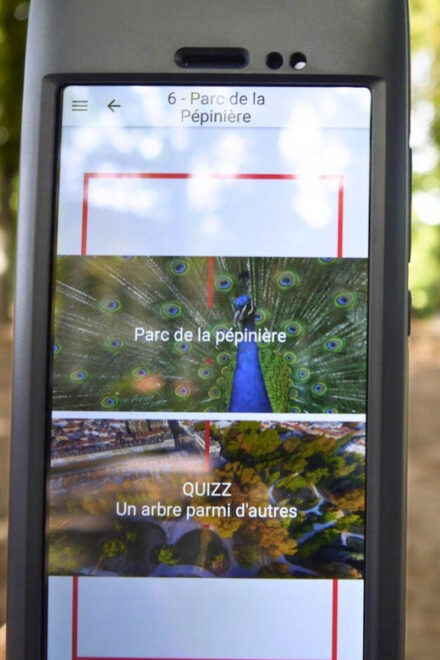 Audio Guided Tour: 12 Languages! - Booking Options