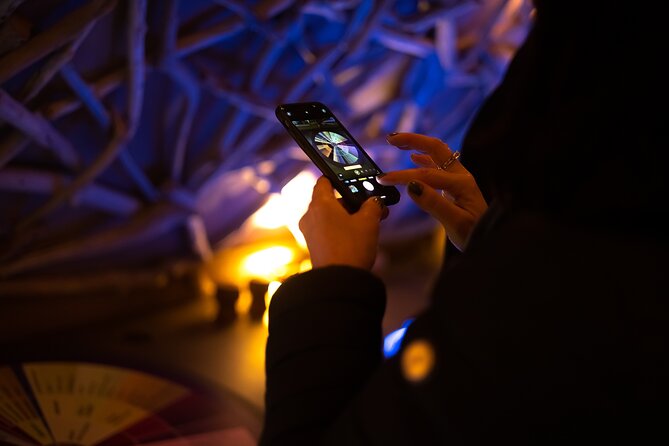 Audio Guided Tour and Wine Tasting at Caves Du Louvre - Common Questions