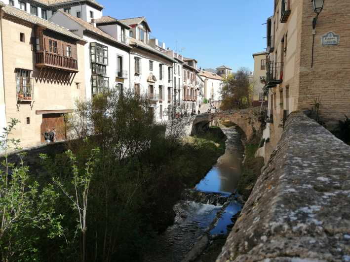 Audio Tour of the Historic Center of Granada - Experience Highlights