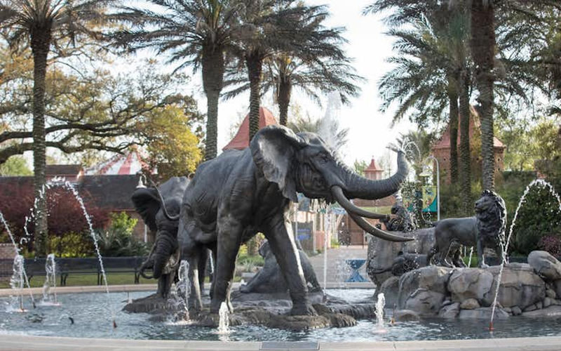Audubon Zoo Ticket - Key points to know before you go