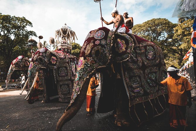 August Kandy Festive Tour - Festive Tour Highlights