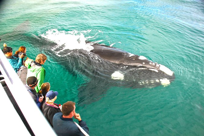 Augusta Whale Watching Eco Tour - Meeting and Pickup Location