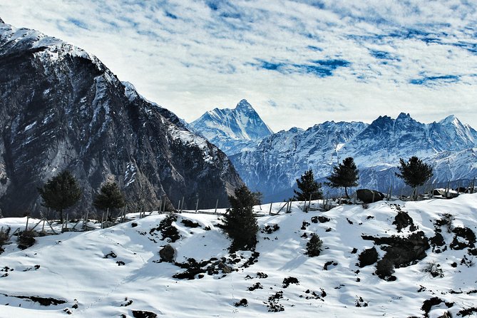 Auli and Rishikesh Tour From Delhi - Good To Know