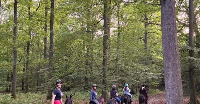 Aumont-En-Halatte: Horseback Riding in the Forest Near Paris - Highlights