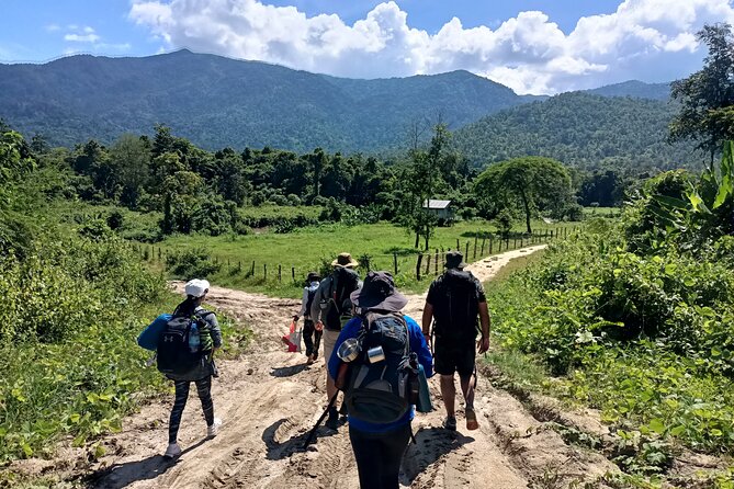 Aural Mountain Trek: Cambodia Tallest Peak Challenge - Camp in the Heart of Nature: A Bamboo Forest Oasis