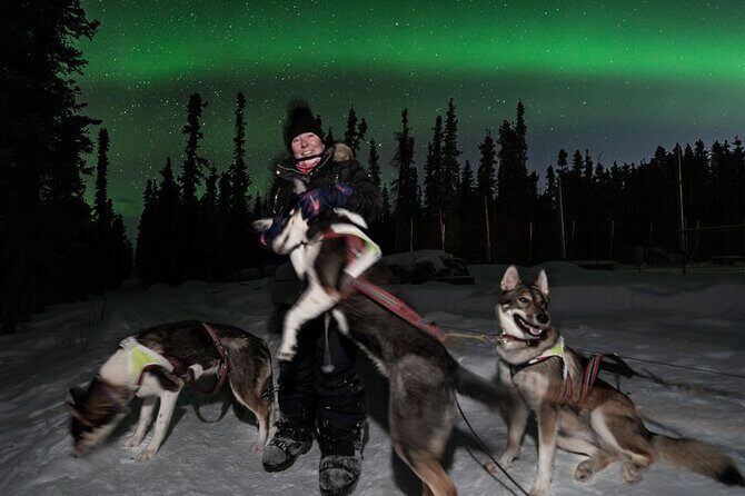 Aurora Activity at Sluice Box Sled Dogs - The Overall Experience: Pros, Cons, and Practicalities