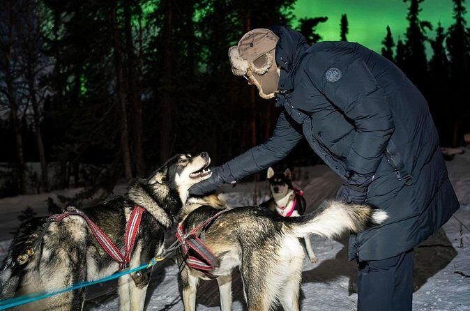 Aurora Activity at Sluice Box Sled Dogs - Final Thoughts