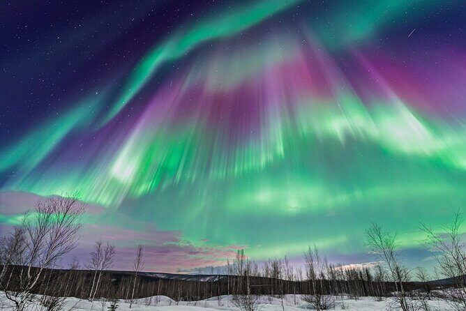 Aurora and Beyond Premiere Chase Adventure - Who Should Consider This Tour?