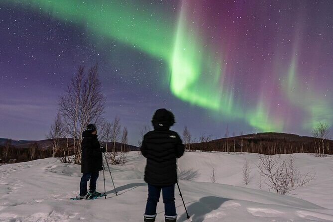 Aurora and Beyond Premiere Chase Adventure - Final Words