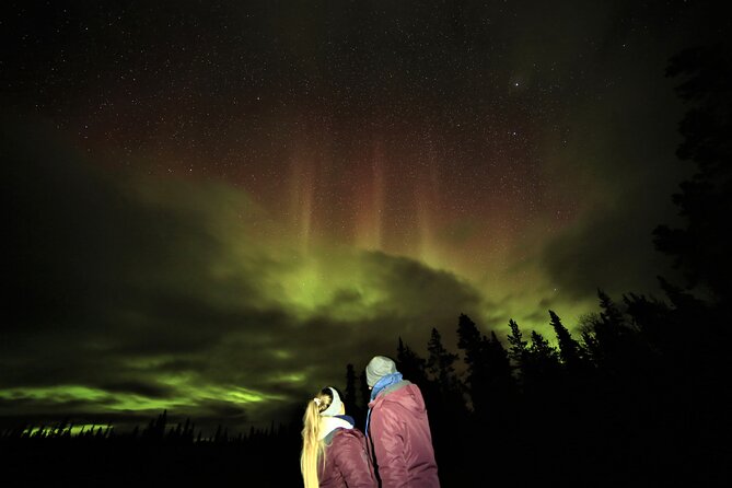 Aurora Borealis - Whats Included