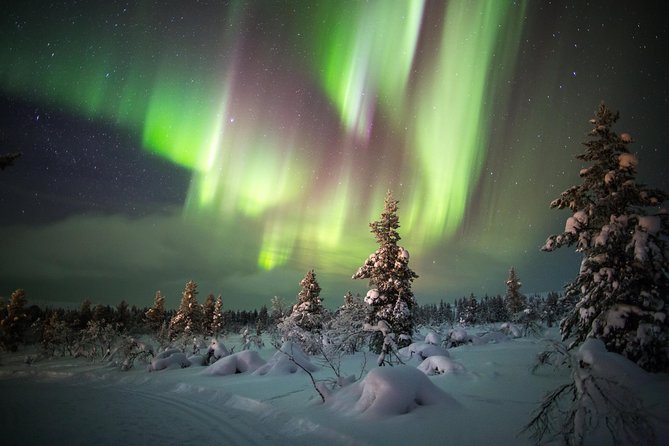Aurora Borealis Hunt With Snowmobiles - Additional Information