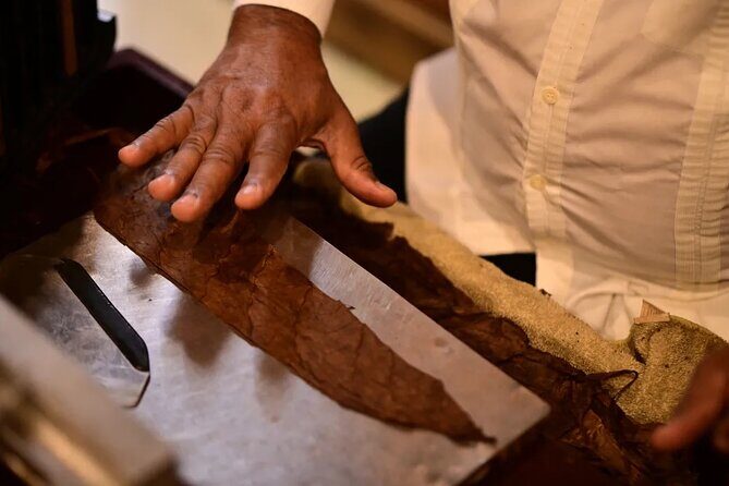 Aurora Cigar & Rum Sensory Tasting and Pairing in Punta Cana - Final Thoughts: Who Should Book This?