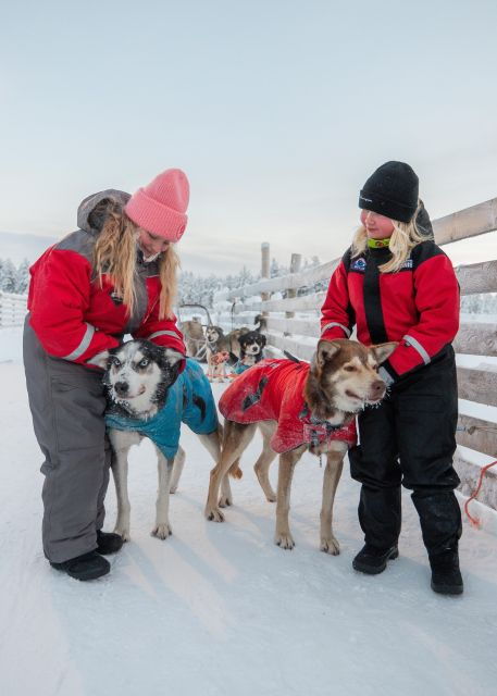 Aurora Evening With Huskies - Booking Details