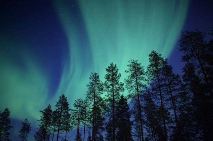 Aurora Evening With Huskies - Itinerary