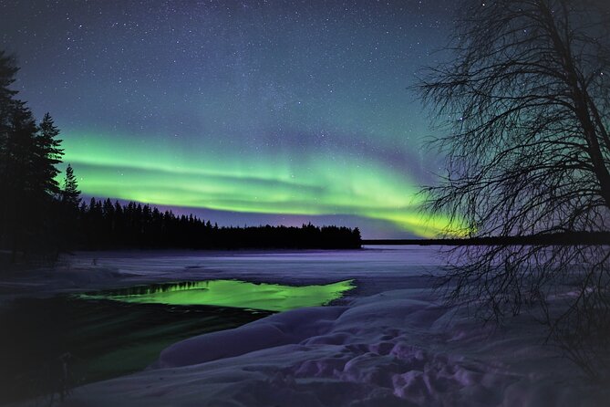 Aurora Hunt and Photography Tour From Rovaniemi - Booking and Travelers