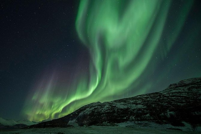 Aurora Hunt Tour With Citizen Science From Tromso - Professional Photos Included - Meeting and Pickup Information