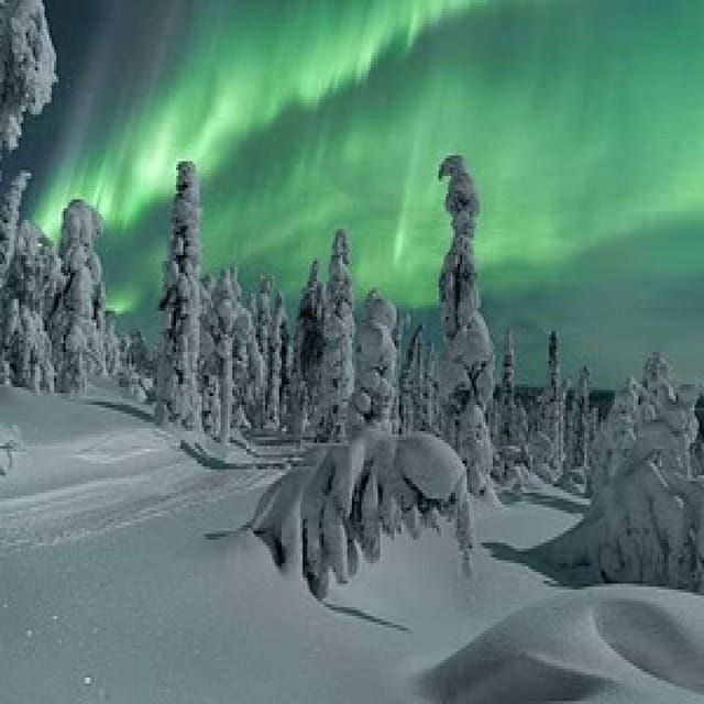 Aurora Hunting With Electric Snow Scooters - Pricing and Duration Details
