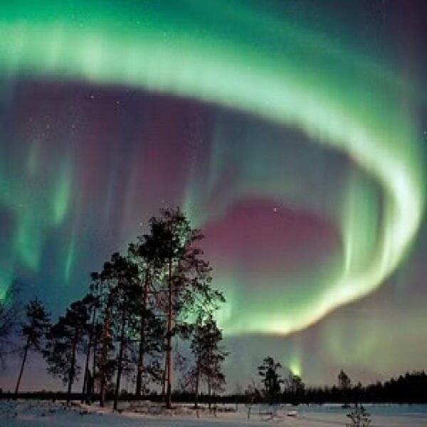 Aurora Hunting With Electric Snow Scooters - Inclusions of the Tour
