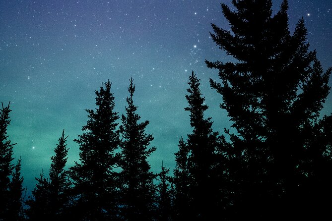 Aurora Husky Experience With 15km Sled Ride in Rovaniemi - Overview of Aurora Husky Experience