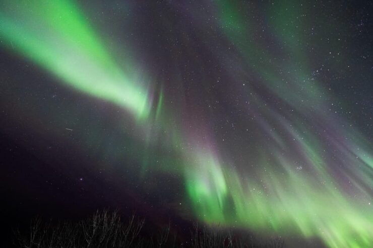 Aurora Lofoten, Northern Lights Centre Visit - Good To Know
