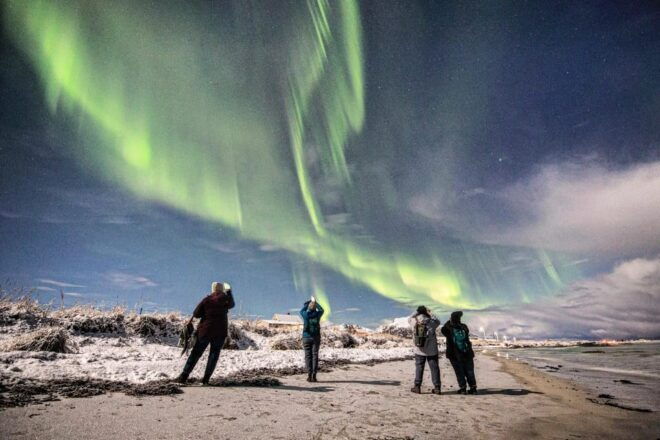 Aurora Lofoten, Northern Lights Centre Visit - Itinerary Details