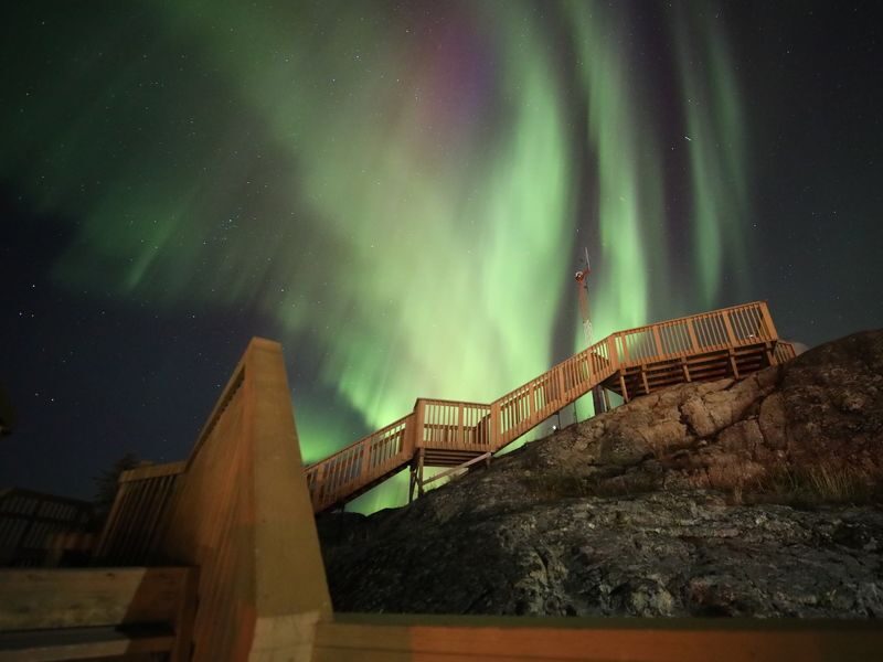 Aurora Northern Lights Chase Tour in Yellowknife - What the price buys, and how the options differ