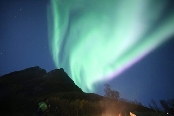 Aurora Optimum: Best 3-Night Forecast - Guest Testimonials