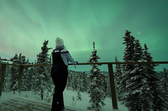 Aurora Oval Nightly Northern Lights Chase - The Sum Up