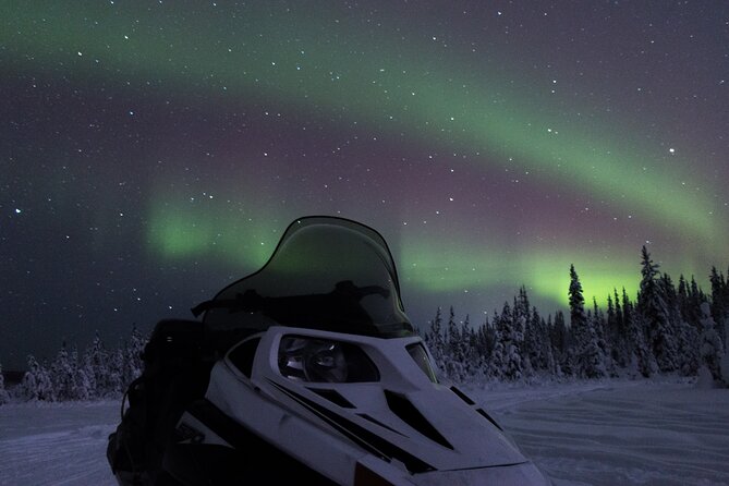 Aurora Sleighers Snowmobile Tour in Fairbanks - Meeting and Pickup
