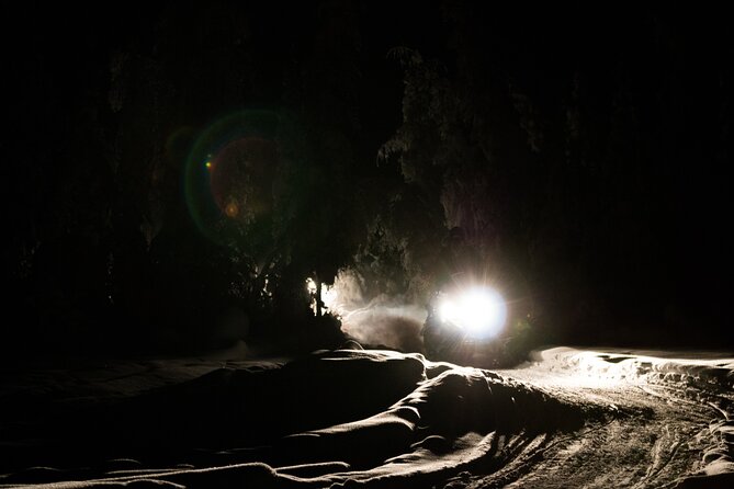 Aurora Sleighers Snowmobile Tour in Fairbanks - What to Expect