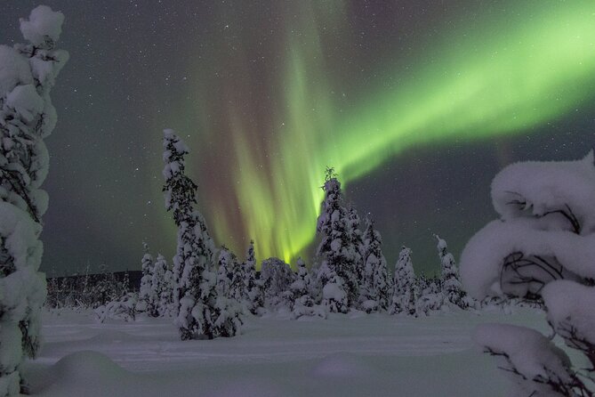 Aurora Sleighers Snowmobile Tour in Fairbanks - Cancellation Policy