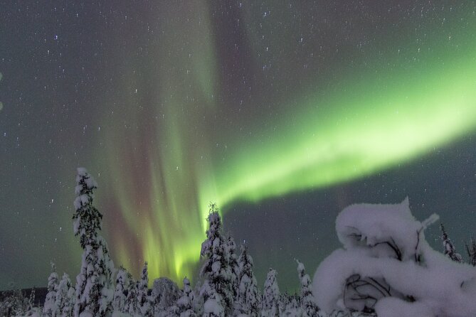 Aurora Sleighers Snowmobile Tour in Fairbanks - Common Questions